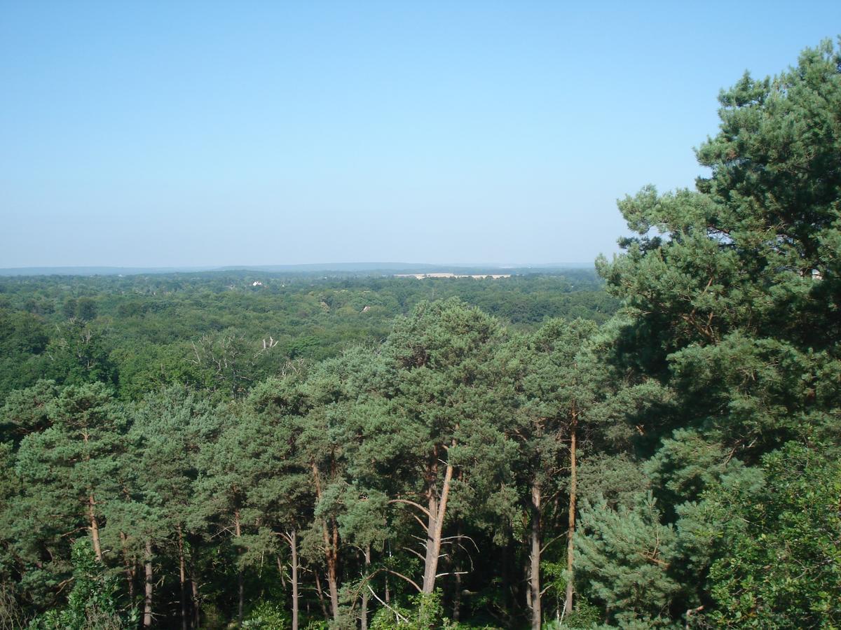 Les Premices De La Foret Chailly-en-Bière エクステリア 写真